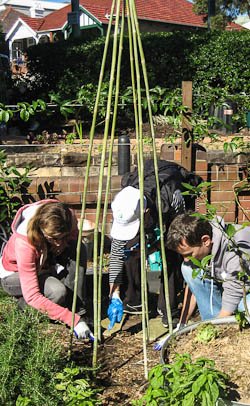 BarrettHouse_ForageCurve